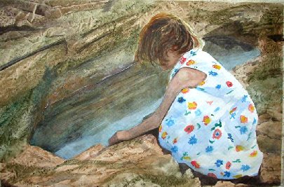 tide pool