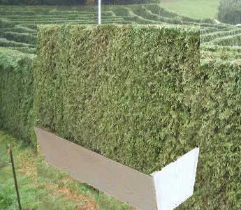 maze section